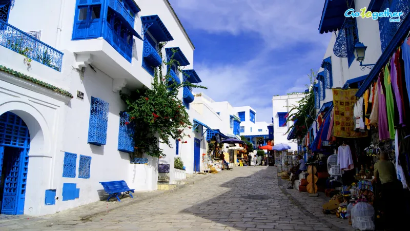 เมืองฟ้าขาวดินแดนสวรรค์สุดโรแมนติก “ซิดิ บู ซาอิด (Sidi Bou Said)” แห่งประเทศตูนีเซีย 3 ซิดิ บู ซาอิด (Sidi Bou Said)