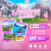 ทัวร์ปากีสถานฤดูแห่งซากุระ 11 วัน ปี 2569 3 Pakistan Sakura11D9N TG HEAD