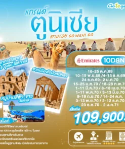 ทัวร์แกรนด์ตูนิเซีย 11 วัน ตามรอย Go Went Go ปี 2569 - 2571