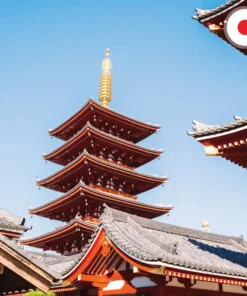 ทัวร์ญี่ปุ่น โตเกียว นาริตะ ฟูจิ ทุ่งลาเวนเดอร์ 5 วัน