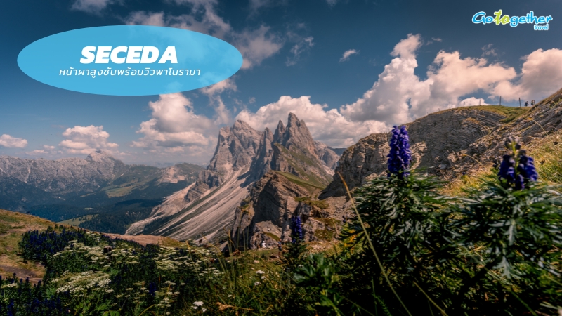 เที่ยว Dolomites อิตาลี สัมผัสเสน่ห์ขุนเขาสวรรค์แห่งยุโรป 6 Seceda