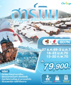 ทัวร์ฮาร์บิน เทศกาลน้ำแข็งระดับโลก 8 วัน ปี 2569 - 2570