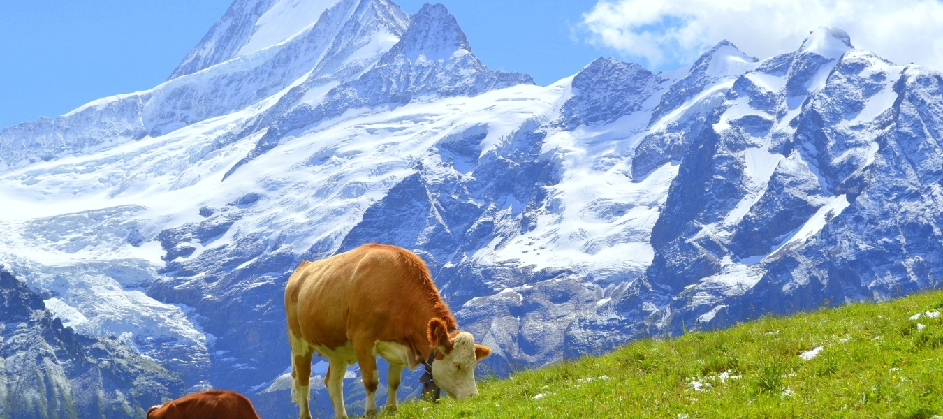 Switzerland Cover Blog Footer