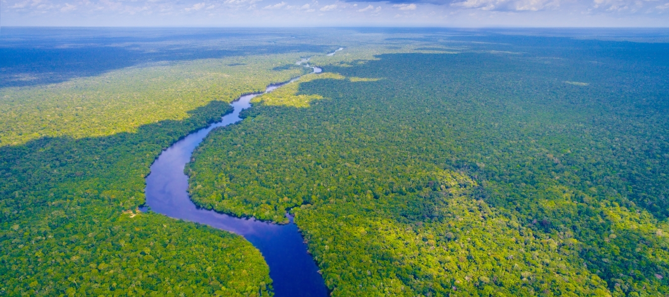 Brazil Cover Blog Footer