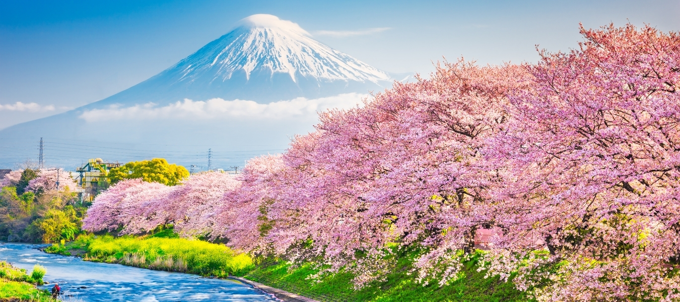 Japan Cover Blog Footer