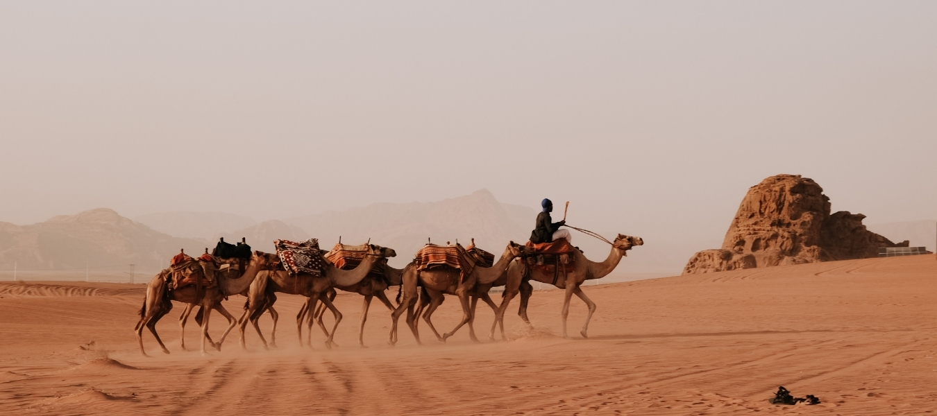 ทัวร์จอร์แดน 262 Jordan Cover Blog Footer