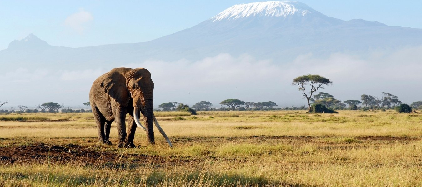 รวมทัวร์ต่างประเทศเดือนกรกฎาคม 259 July Cover