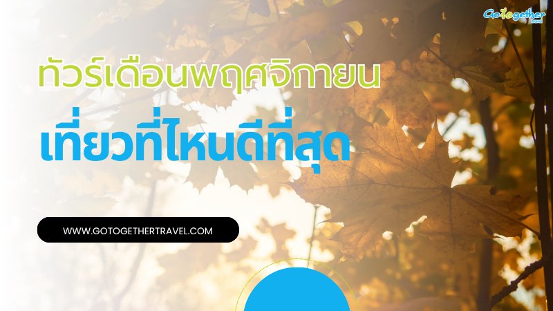 ทัวร์ต่างประเทศ พฤศจิกายน