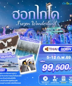 ทัวร์ฮอกไกโด โฟรเซ่นวันเดอร์แลนด์ 8 วัน ปี 2569