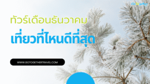ทัวร์ต่างประเทศ เดือนธันวาคม