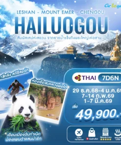 Hailougou 7D6N(TG) - Head