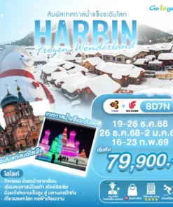 Harbin Frozen Wonderland 8D TG+CA Banner
