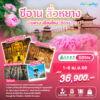 ทัวร์จีน ซีอาน ลั่วหยาง 6 วัน บินตรงจากเชียงใหม่ ปี 2569 6 Xian-Luayang-6D5N-(9C)