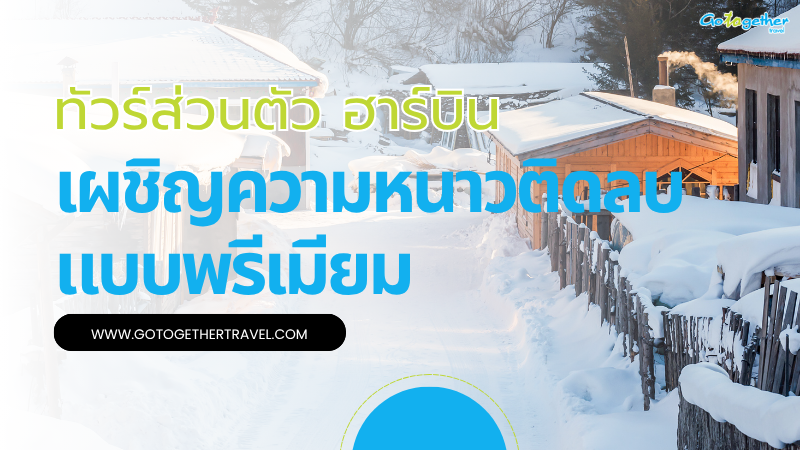 จัดทัวร์ส่วนตัว ฮาร์บิน เผชิญความหนาวติดลบแบบพรีเมียม 1 ทัวร์ส่วนตัว ฮาร์บิน