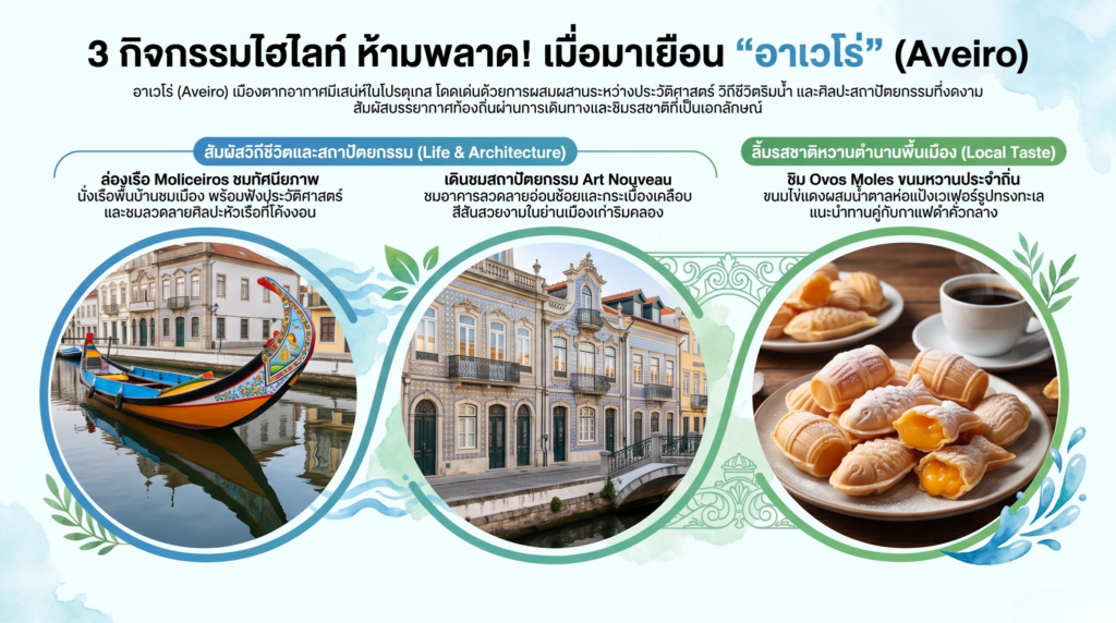 คู่มือเที่ยวเมืองอาเวโร่ สัมผัสมนต์เสน่ห์เวนิสแห่งโปรตุเกส 4 กิจกรรมไฮไลท์ที่ต้องทำเมื่อมาเที่ยวเมืองอาเวโร่