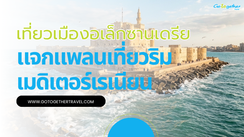แจกแพลนเที่ยวเมืองอเล็กซานเดรีย 2 วัน 1 คืน ฉบับสมบูรณ์ 1 แจกแพลนเที่ยวเมืองอเล็กซานเดรีย
